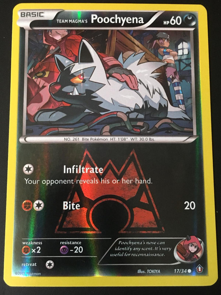 Team Magma's Poochyena