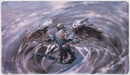 Dragon Shield Playmat - Eden