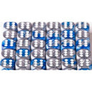 Chessex: Gemini Blue/Steel 12Mm D6 Dice Block