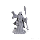 D&D Nolzur's Marvelous Miniatures: Star Spawn Larva Mage