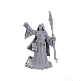 D&D Nolzur's Marvelous Miniatures: Star Spawn Larva Mage