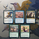 MTG Secret Lair Drop Series: Ornithological Studies