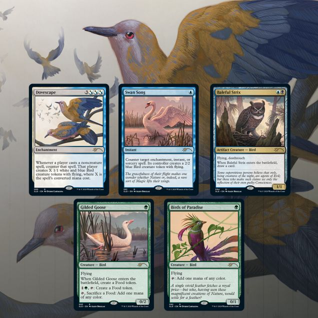 MTG Secret Lair Drop Series: Ornithological Studies