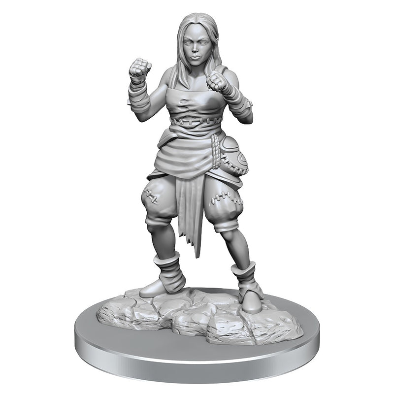 Pathfinder Deep Cuts: Half-Elf Monk Females