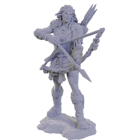Pathfinder Deep Cuts Miniatures: Wood Giant