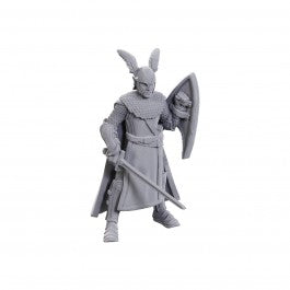 D&D Nolzur's Marvelous Miniatures: Limited Edition 50th Anniversary - Elves