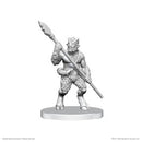 D&D Nolzur's Marvelous Miniatures: Classic Satyr