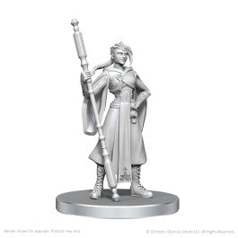 Critical Role Unpainted Miniatures: Beauregard Lionett & Caleb Widogast