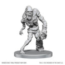 D&D Nolzur's Marvelous Miniatures: Rutterkin & Maw Demon