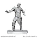 D&D Nolzur's Marvelous Miniatures: Swarm of Rot Grubs & Rot Grub Victim