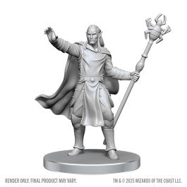 D&D Nolzur's Marvelous Miniatures: Drow Mage & Yochlol