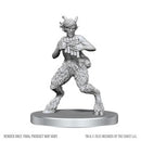 D&D Nolzur's Marvelous Miniatures: Satyr & Dryad