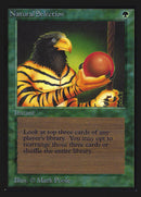 Natural Selection [Collectors' Edition]